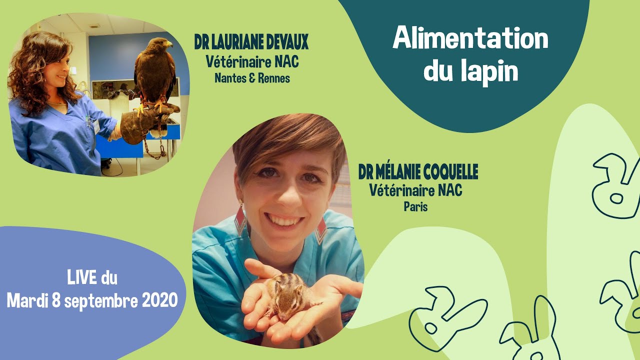 Alimentation du lapin