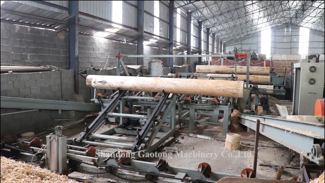 How Plywood Is Made In Factories? | Incredible Automatic Plywood Production line #woodworking