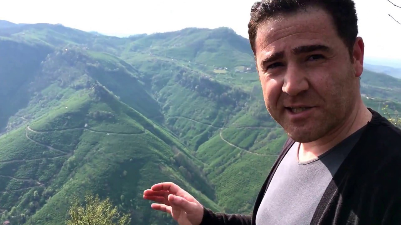 Salıpazarı Kırgıl Kuşkaya