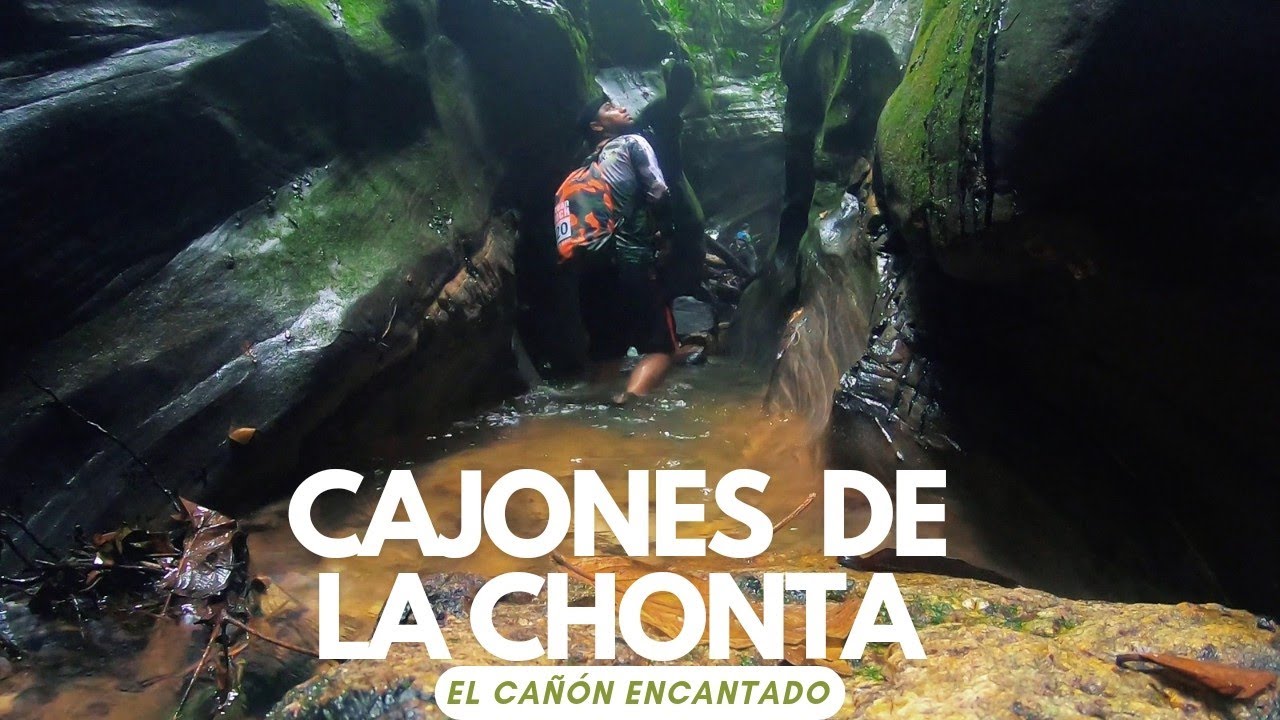 ¿Qué Esconden los Cajones de la Chonta? ¡Te Sorprenderás!
