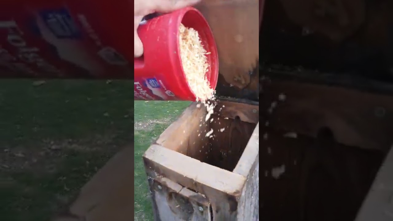 attracting Northern flickers to a nest box