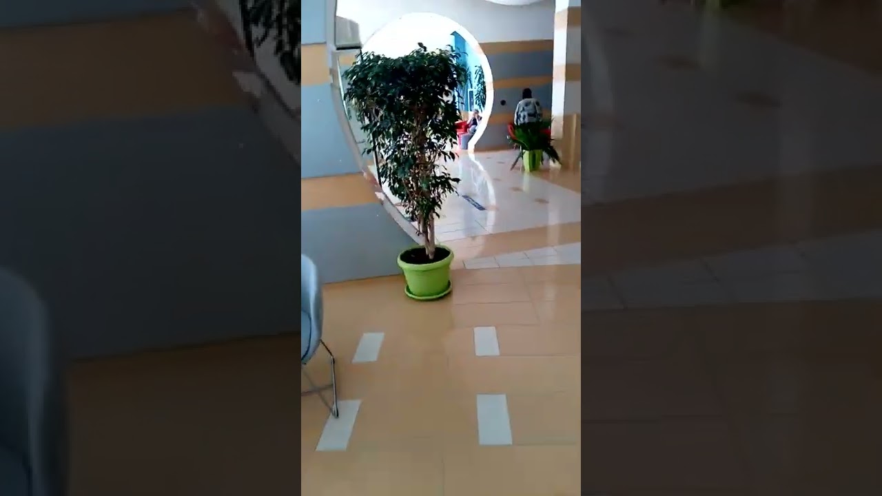 TRAKIA PLAZA 4* Солнечный берег Болгария