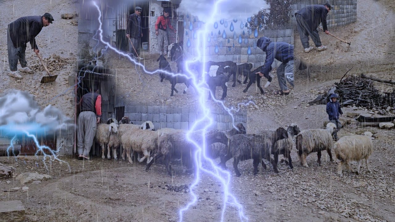 The harsh life of nomads in winter: Nomads try to save themselves from the winter rain in mountains🌧