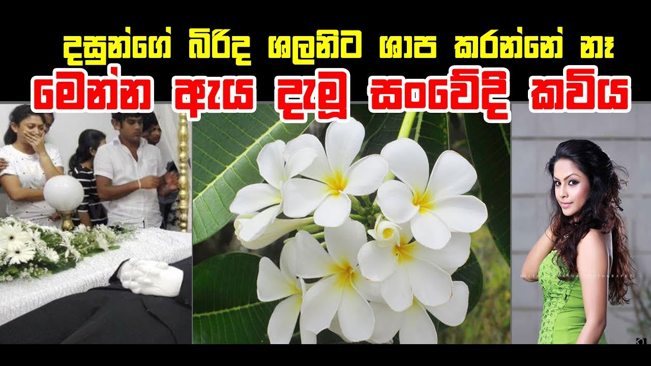 මුල ඉදලා වෙච්ච දේ කවියකින් කියපු දසුන්ගේ බිරිද