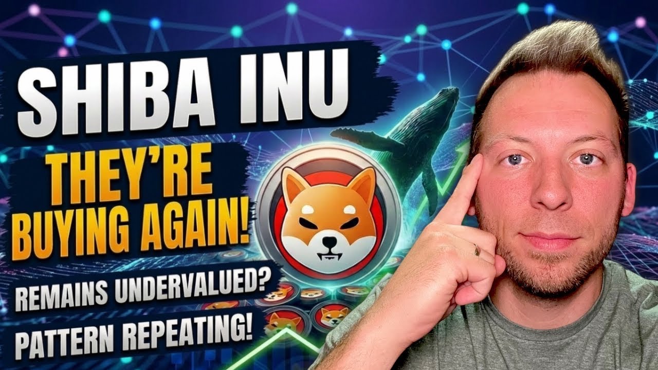 SHIBA INU &mdash; по-прежнему недооценен?! Они снова скупают! Мы уже это видели!