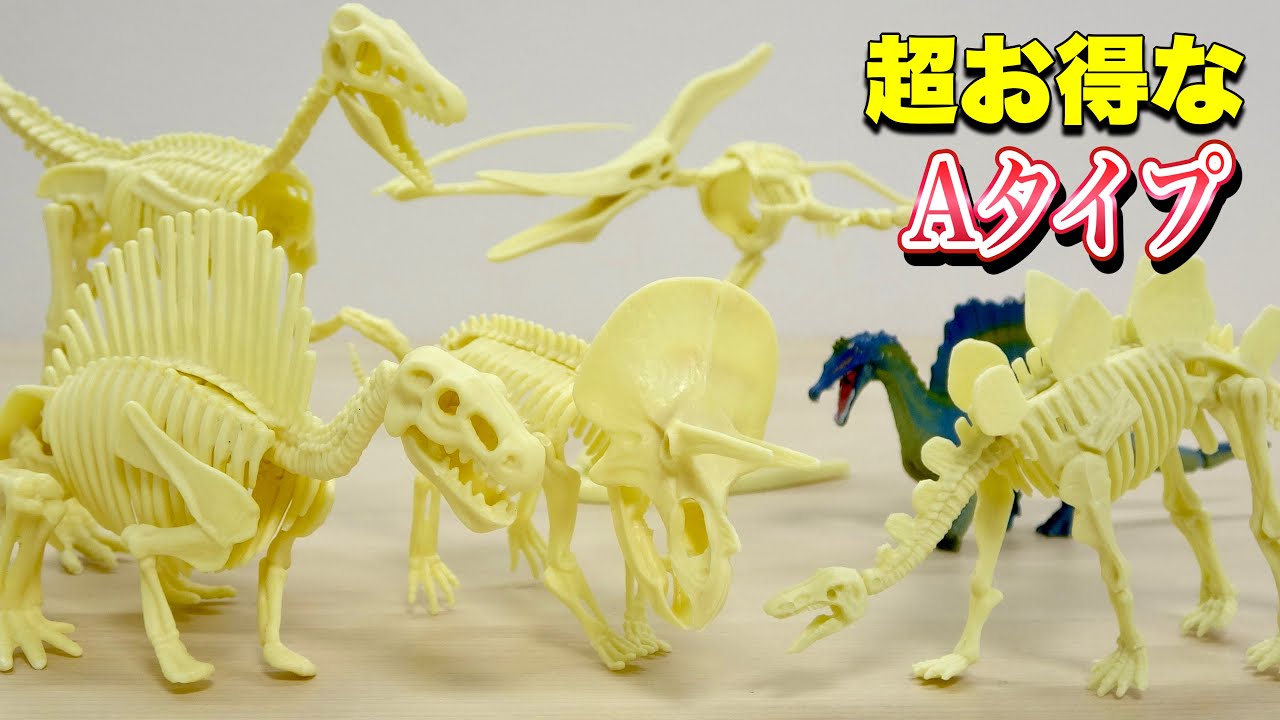 BIGサイズのAタイプがお得!このサイズで100円は安すぎw 大発見!恐竜化石コレクション【セリア】