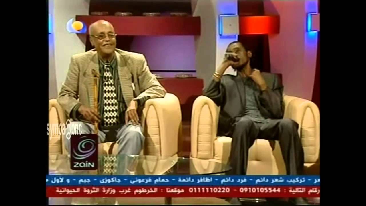 أغاني وأغاني 2013  الحلقة 4   مشاركات الفنان محمود عبدالعزيز في البرنامج