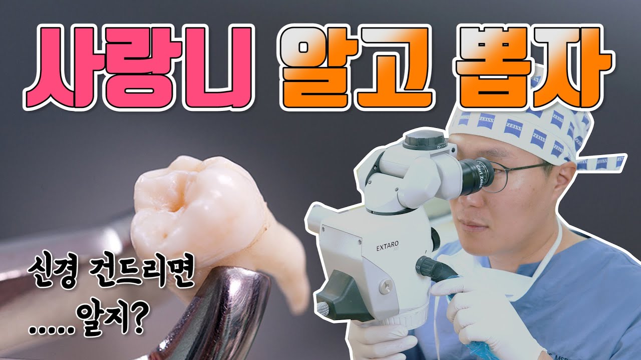 빼지 않아도 되는 사랑니 분석법 feat.매복 사랑니 발치영상공개