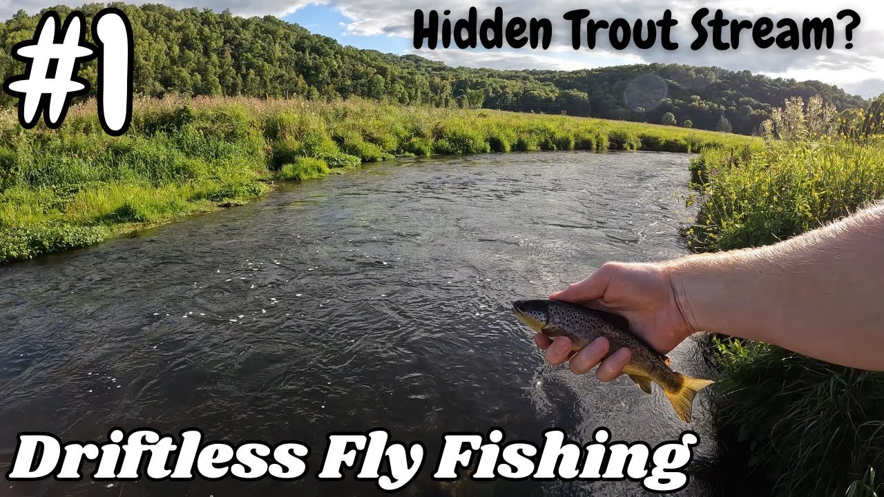 Exploring Hidden Gems: Trout Fishing in the Driftless Region