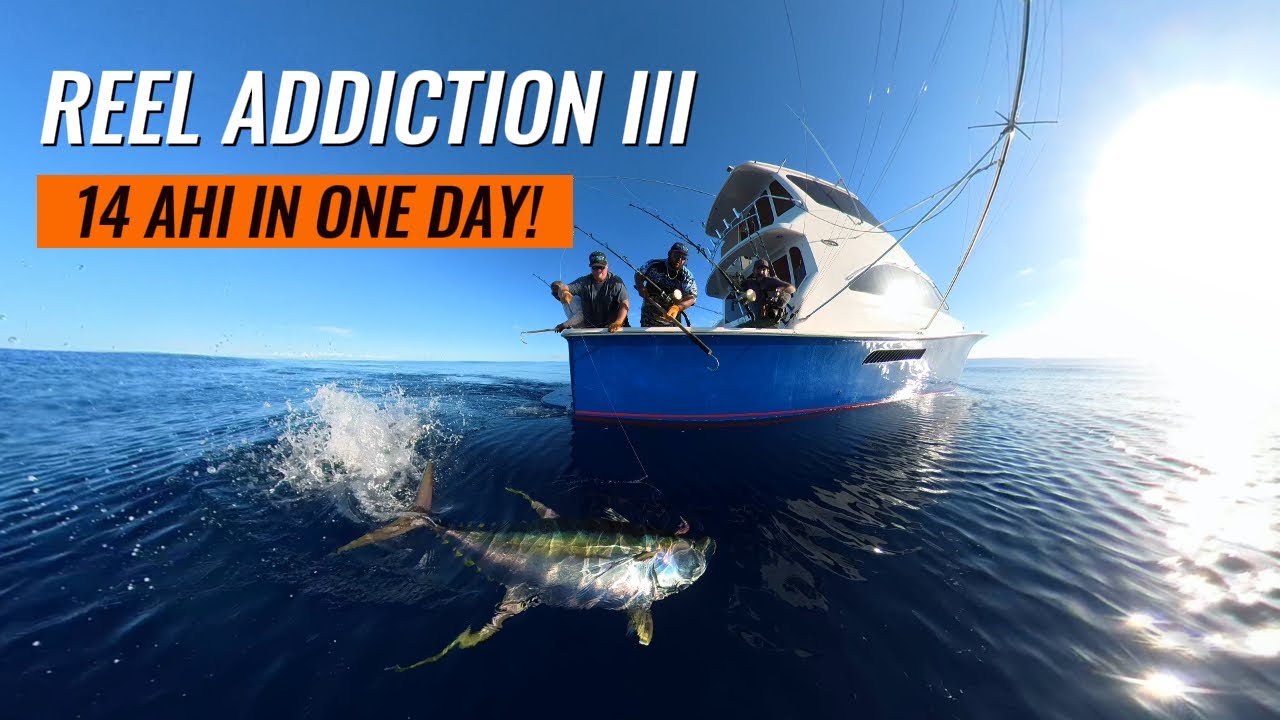 14 AHI IN ONE DAY! | Yellowfin Tuna Fishing | Hawaii Fishing