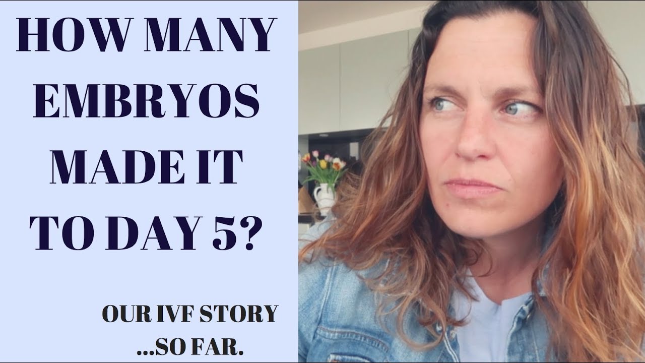 HOW MANY EMBRYOS MADE IT TO BLASTOCYSTS? | IVF WEEK BY WEEK | EILEEN VINCETT