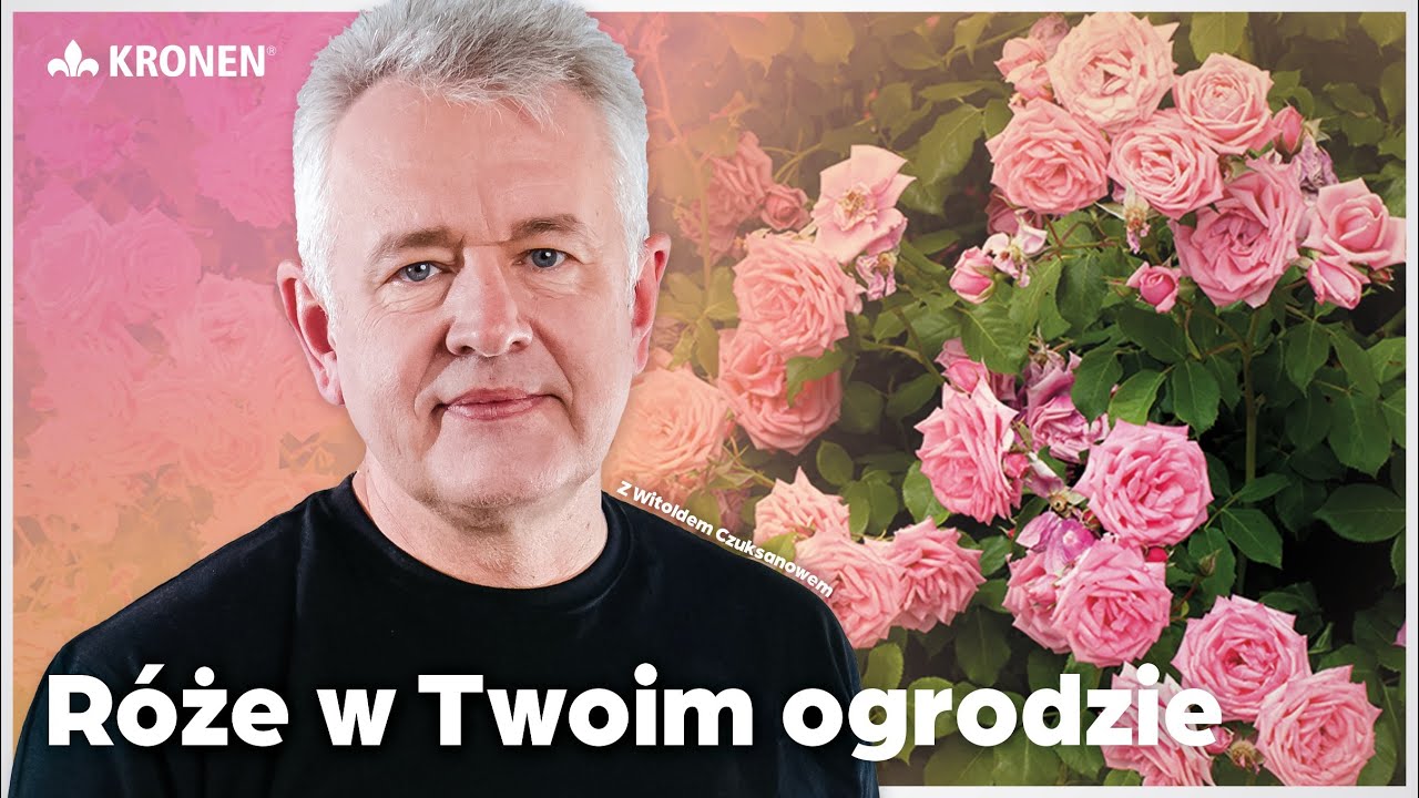 KRONEN 2025 - R&oacute;że w Twoim ogrodzie