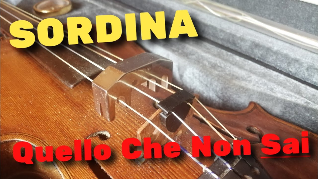 🎻Quello che Non Sai sulla SORDINA [Lezione di Violino]
