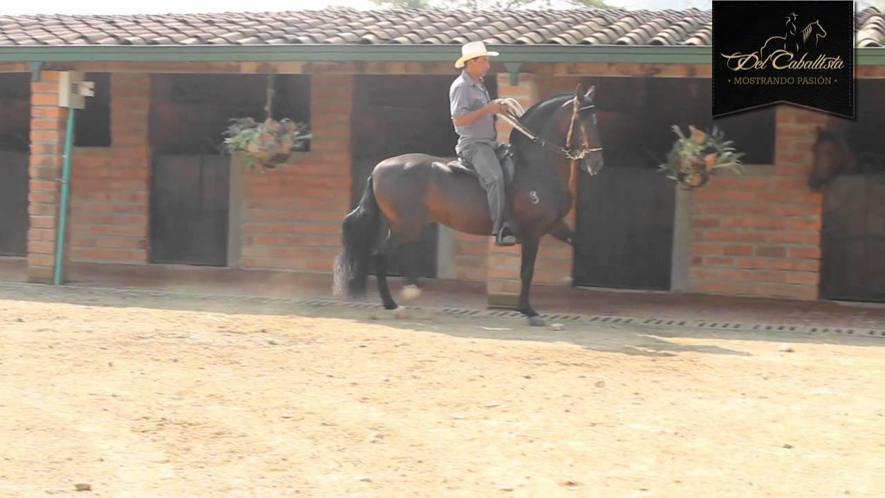Constante de La Luisa en  www.delcaballista.com (HD)