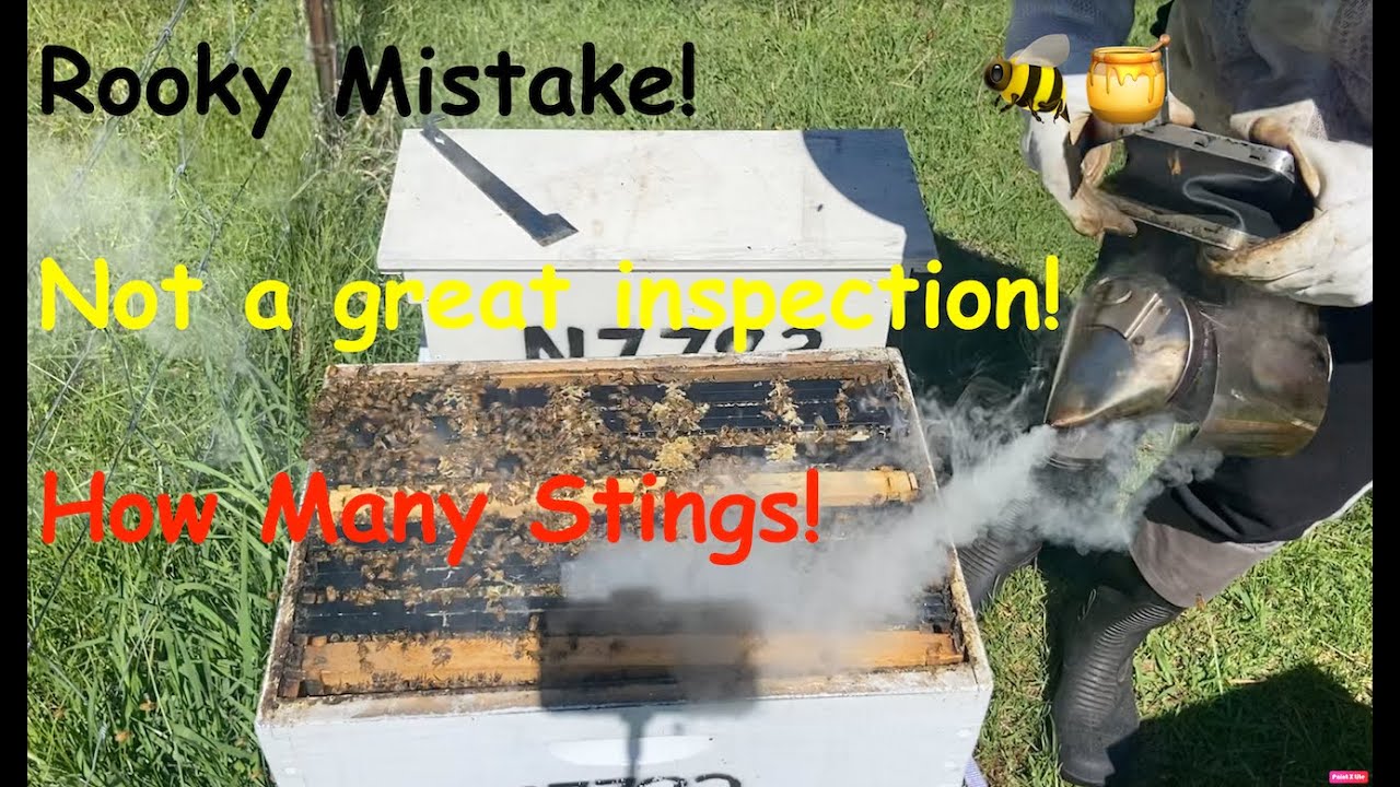 When an Inspection goes wrong! 🐝🐝🐝 #bees #beekeeper #savethebees #beekeeping