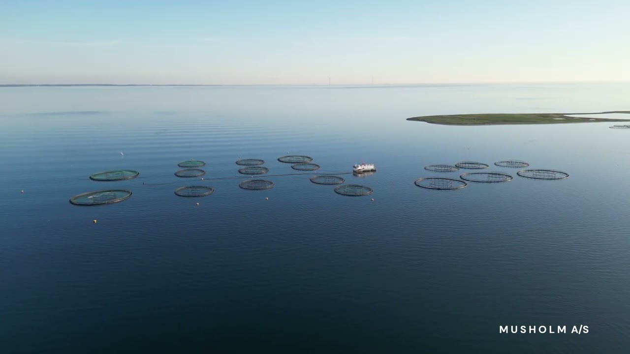 Musholm A/S seafarm East & West