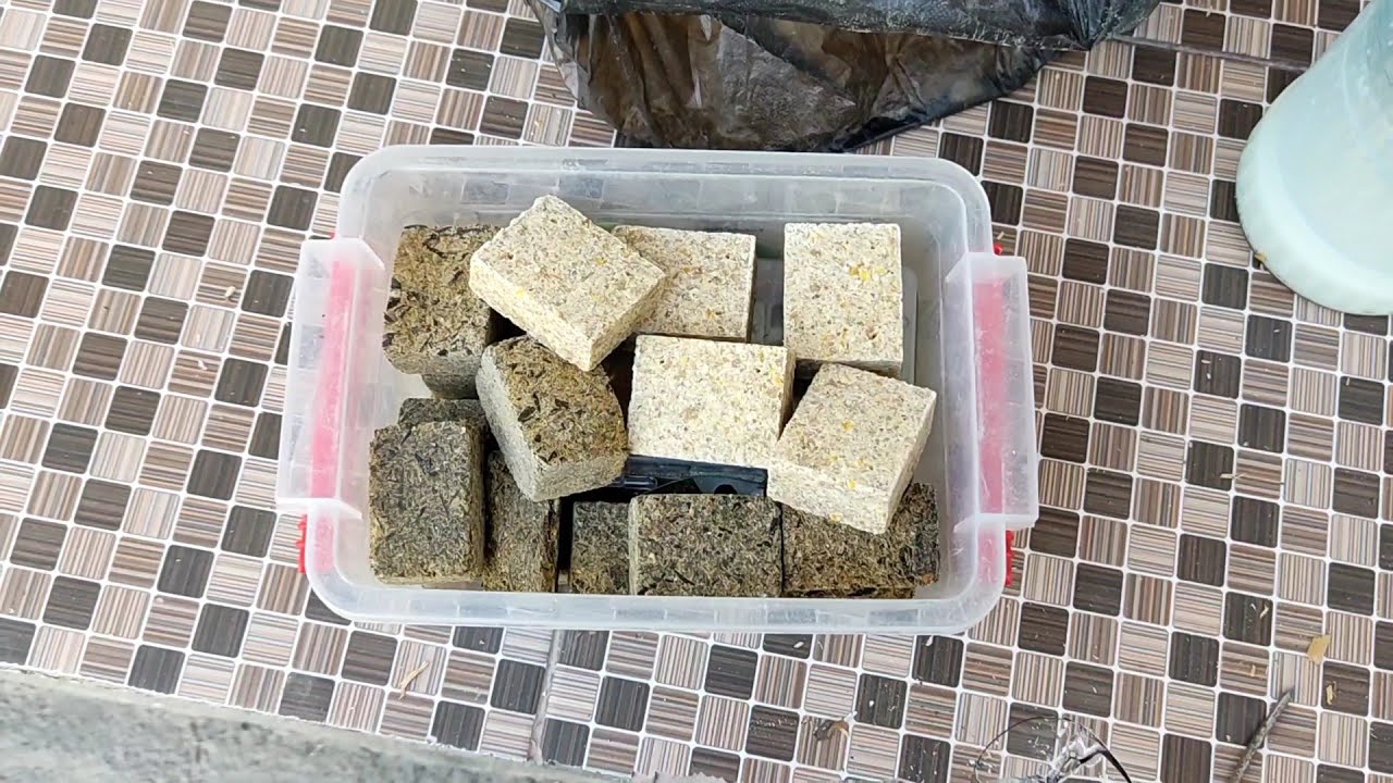 жмых для рыбалки своим  руками