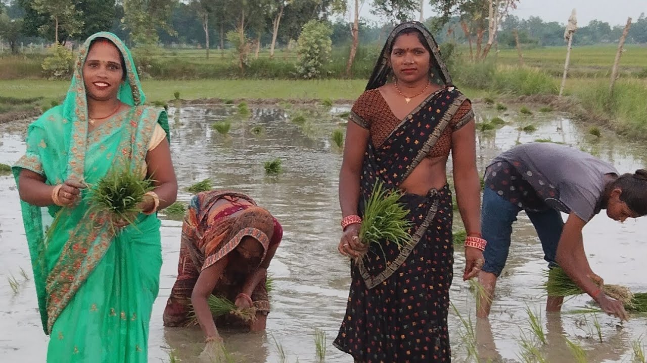 बेटी का दर्द भरा कजरी गीत 🙏 ससुरे में रोवै बिना माई कै बिटिया 🪴🏵️🌿 vasnavi Lokgeet 🙏♥️👍 करें