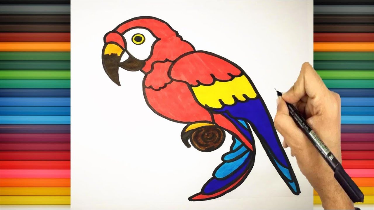 كيف ترسم ببغاء  | تعليم الرسم  | رسم سهل  | طريقة رسم ببغاء