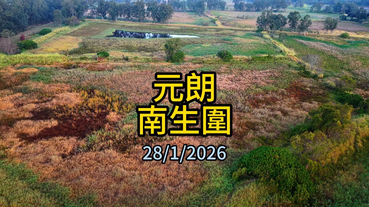 20260128 南生圍