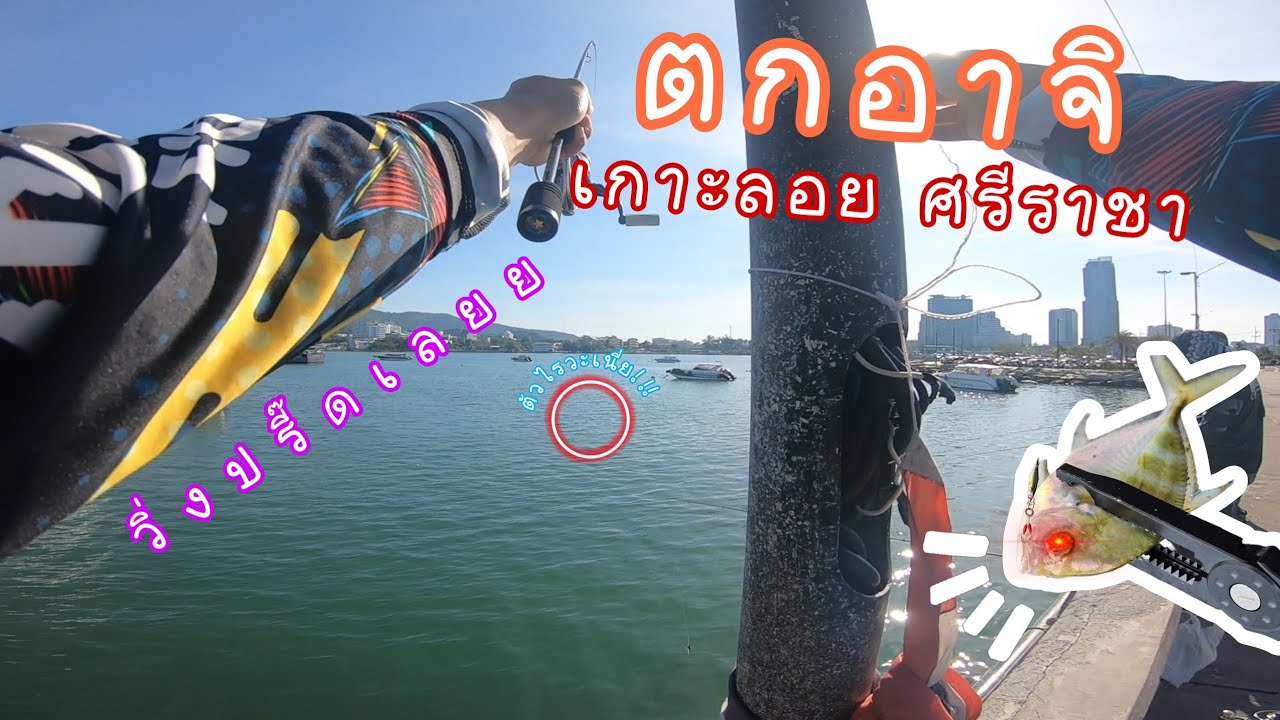 ตกอาจิที่เกาะลอย วิ่งขนาดนี้!! ตัวขนาดไหน!!?