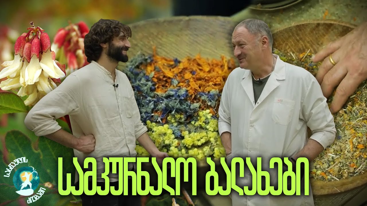 სამკურნალო ბალახები | სასწაულის ძიებაში