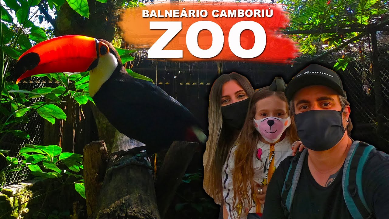 ZOOLÓGICO DE BALNEÁRIO CAMBORIÚ: MIL ANIMAIS, MUITA NATUREZA E AINDA BRINCAMOS COM OS MACACOS!
