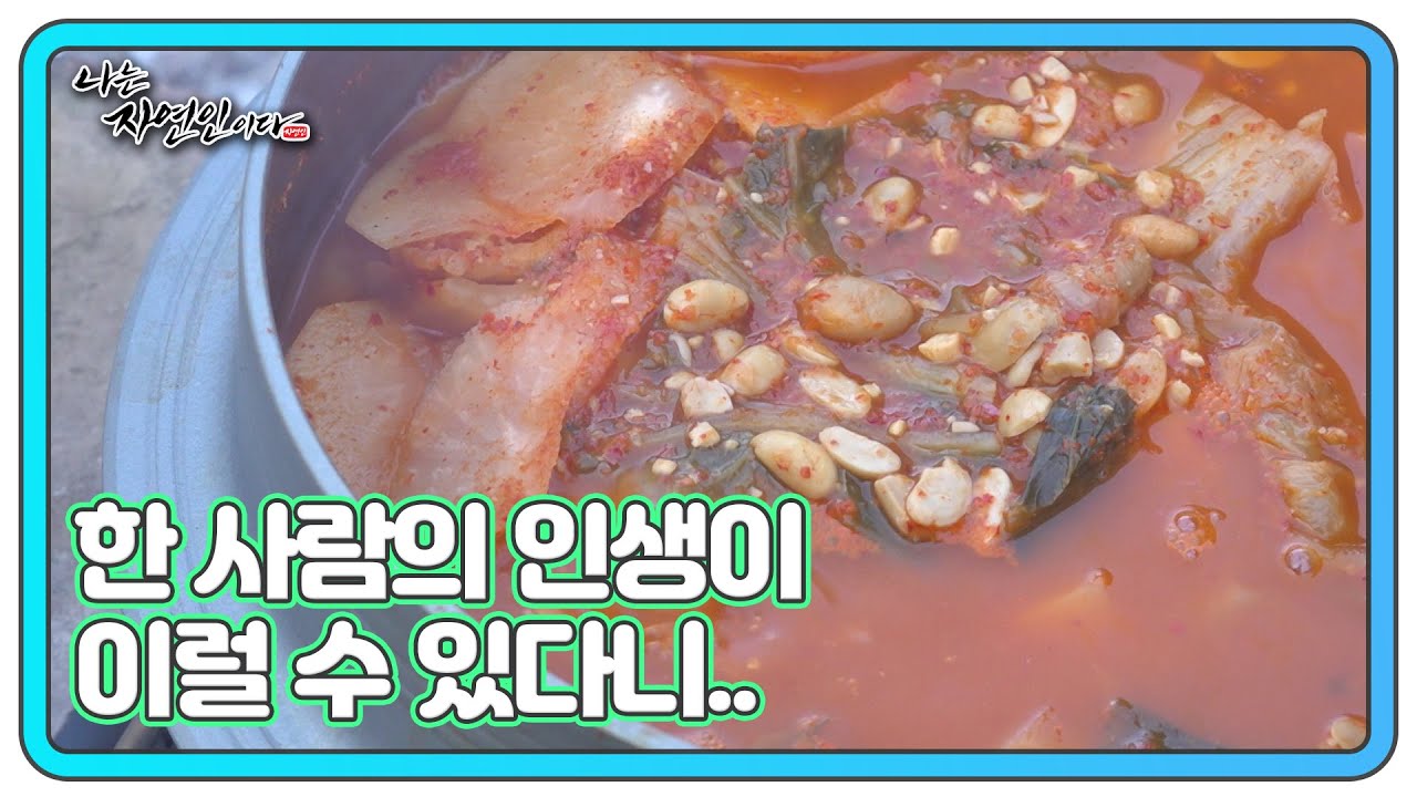 쿰쿰한 청국장과 달콤한 밤밥의 환상 콤비 MBN 260128 방송