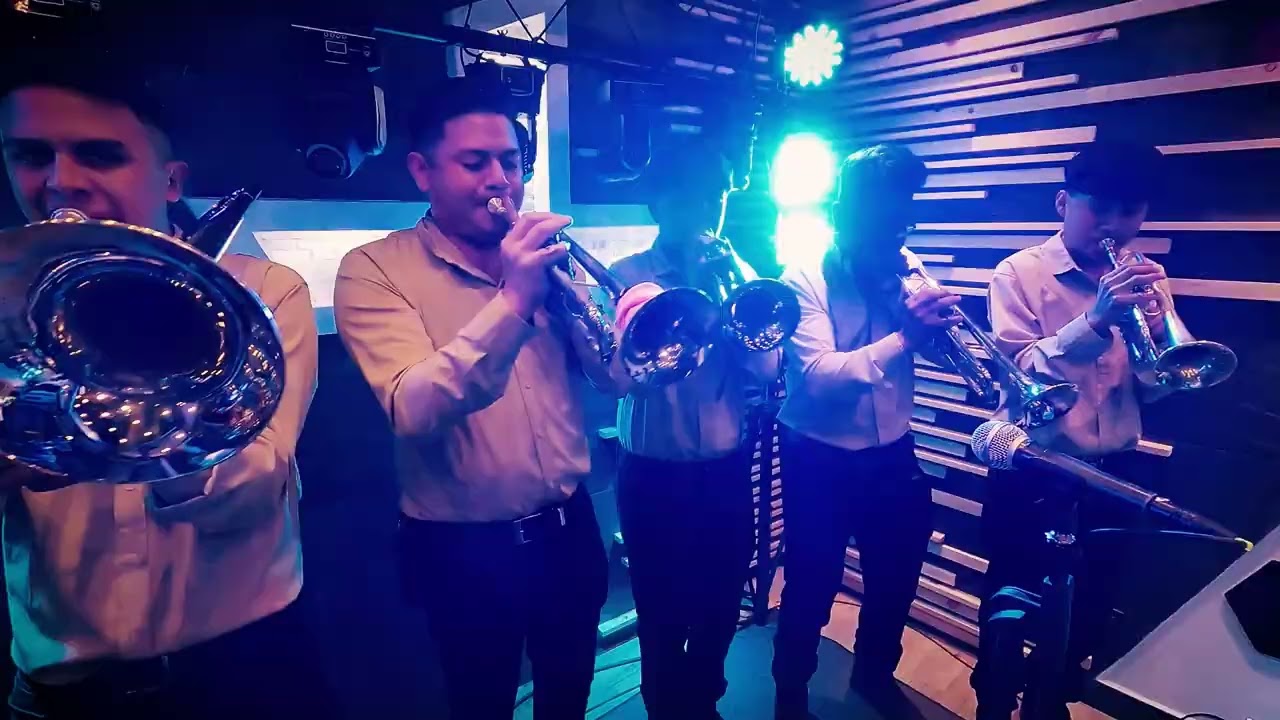 Banda de viento El Padrino》 