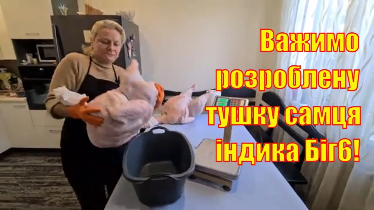Самец индюка Биг6. Тушка в цифрах и процентах.