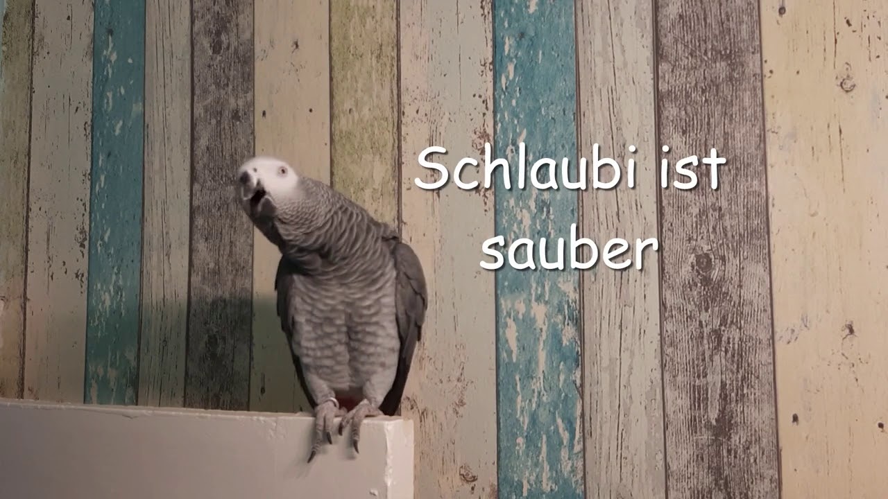 Lilo Buchstabensalat