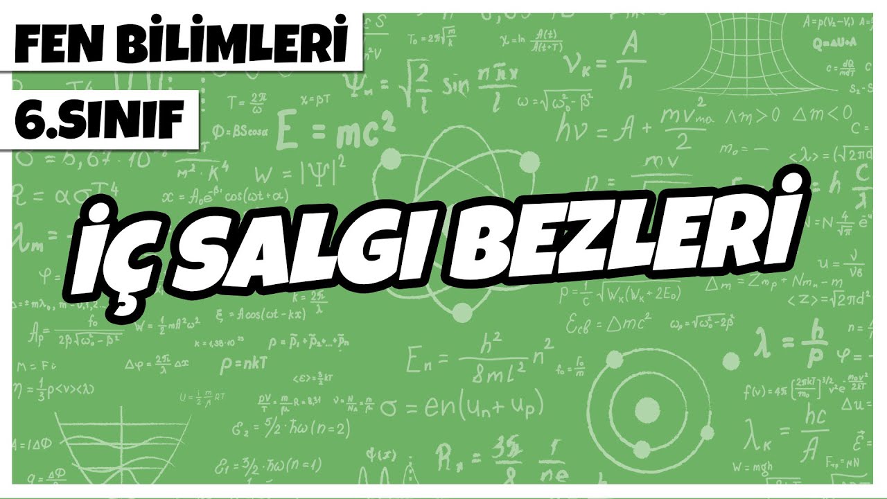 6. Sınıf Fen Bilimleri - İç Salgı Bezleri | 2022