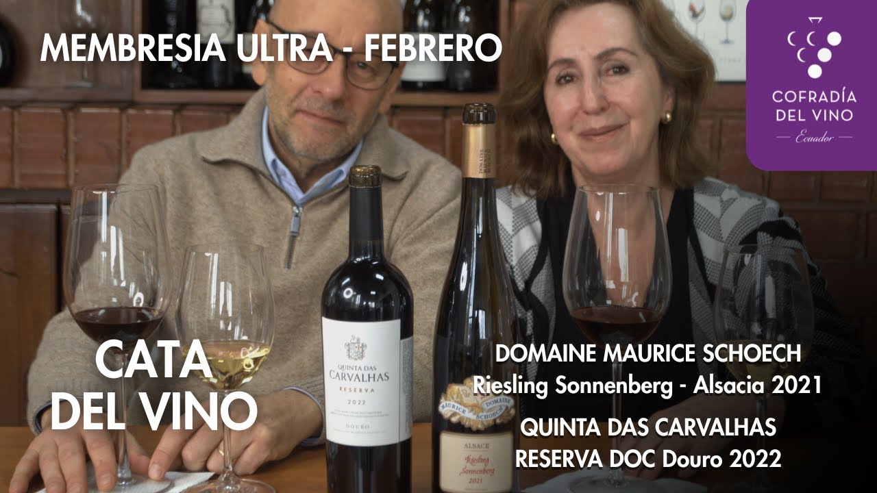 DOS TERRUÑOS, UNA EXPERIENCIA EXCEPCIONAL ✨🍷