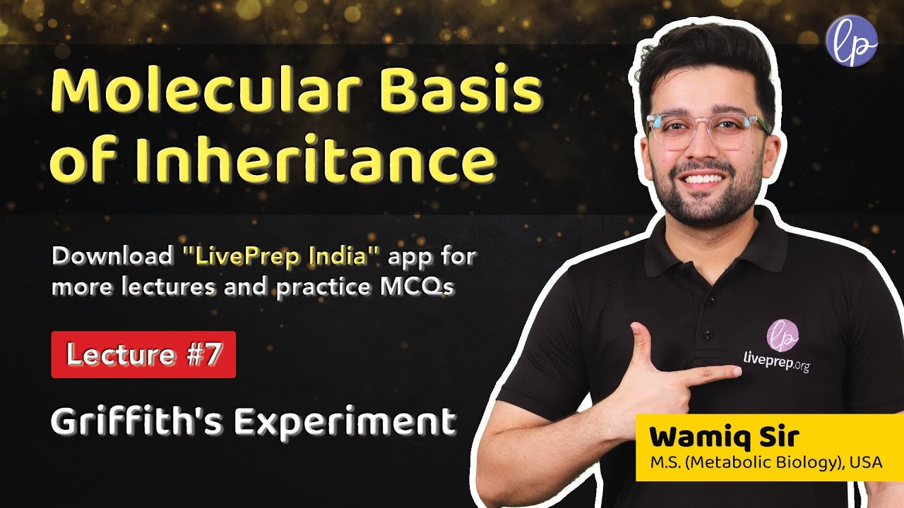 Griffith's Experiment (Transforming Principle) - Molecular Basis of Inheritance by Wamiq Sir