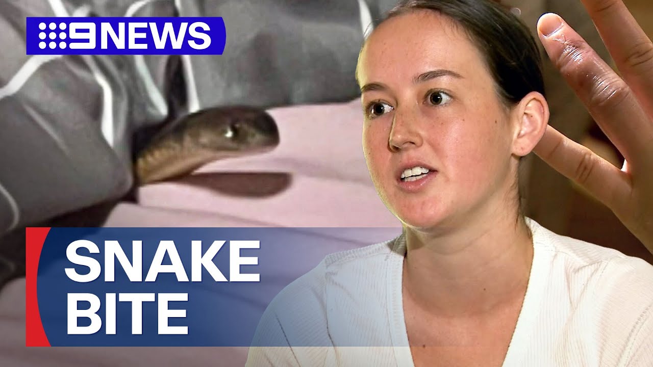 Woman bitten by deadly snake while asleep | 9 News Australia