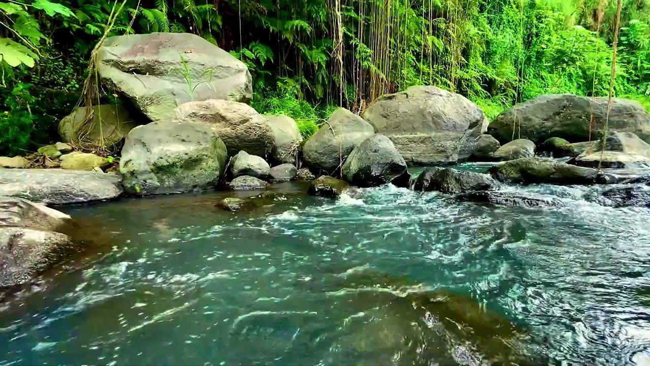 River Sound Relaxing – Gentle River Stream with Birds Singing for Meditation