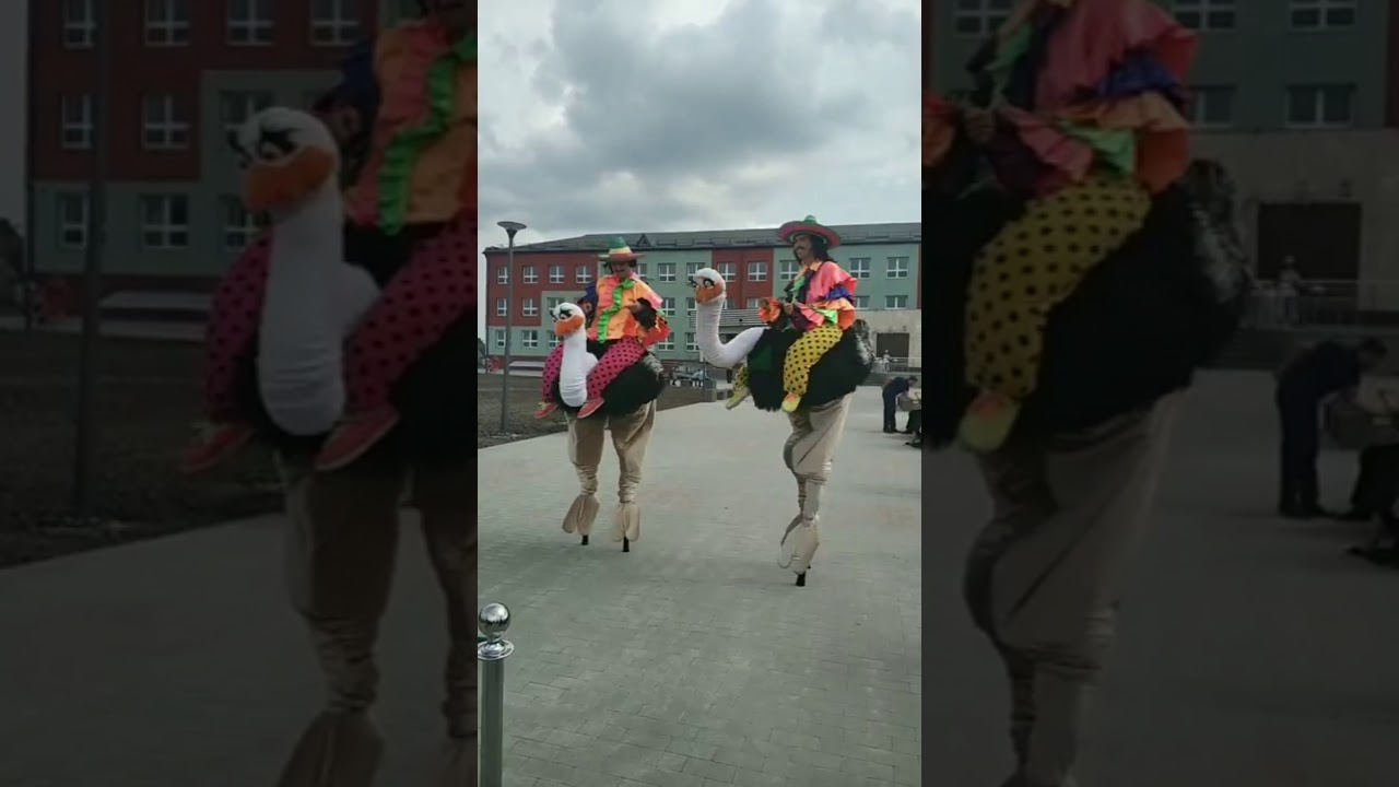 Vladyslav Sergiienko Pro Stiltwalker