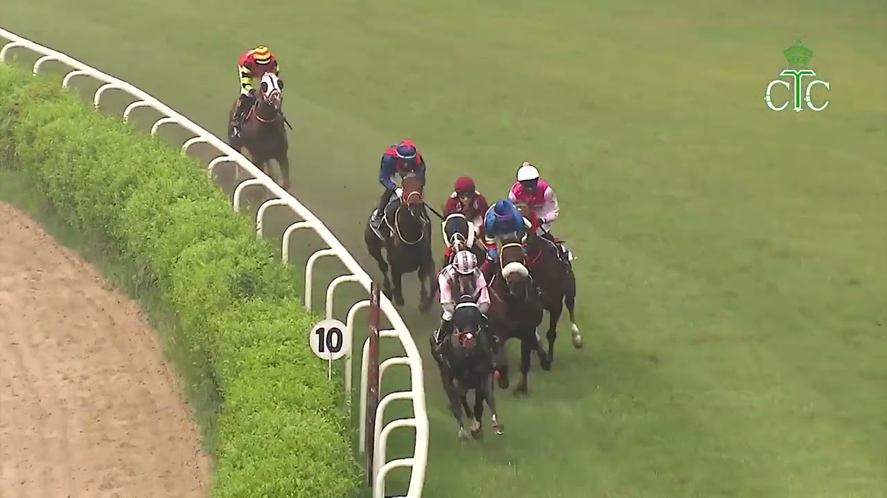 TRACK STRIKING выигрывает скачки Quasar Handicap.
