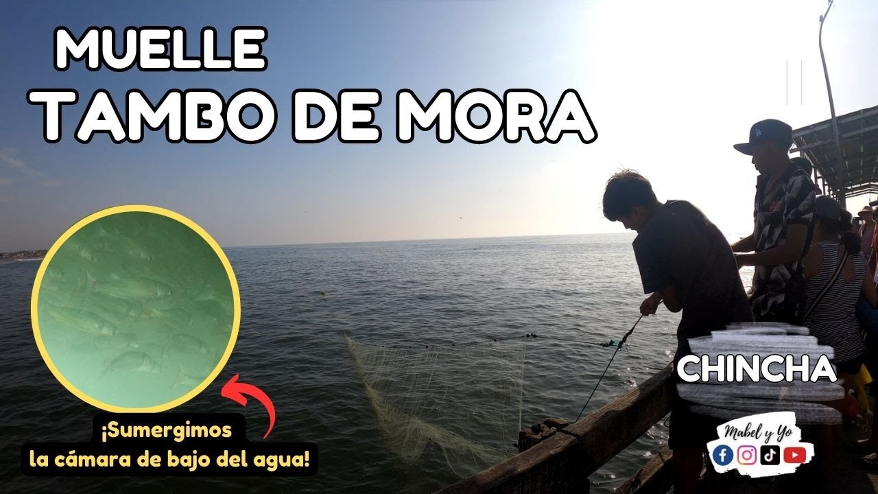 Muelle de Tambo de Mora  ¿Es posible pescar en esta zona? #chincha / #playas #sol
