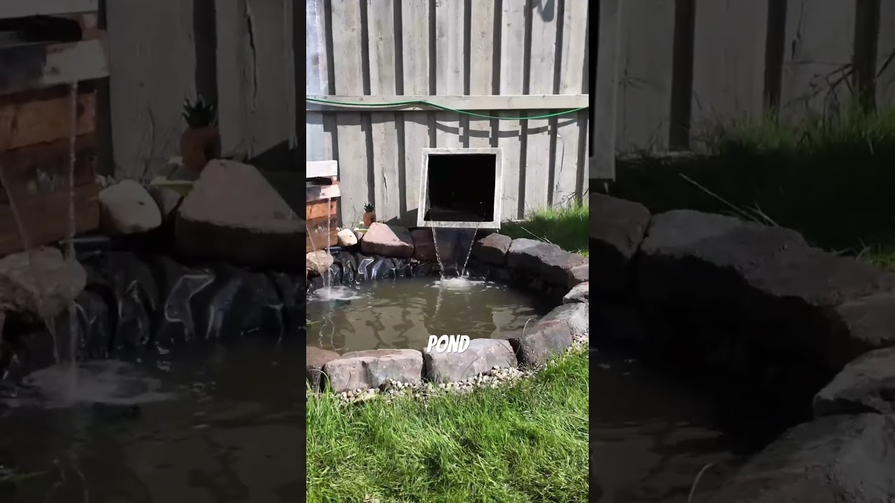 Staw z nową funkcją wodospadu! #poposoap #pondgarden #Diy #solarwaterfountain #dobymyself