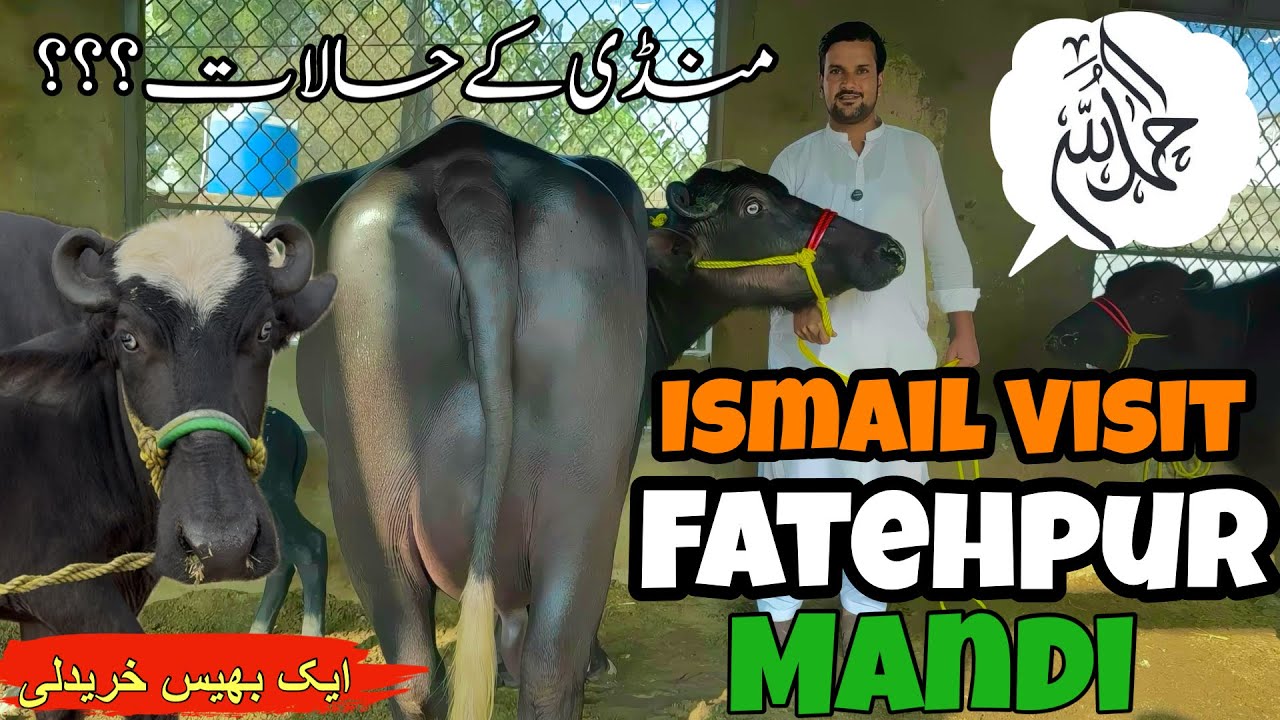Ismail jutt Visit Fatehpur Mandi