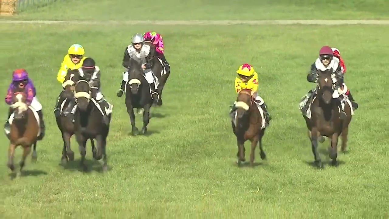Pony ren Soumillon Pony Throphy Waregem Koerse 2024