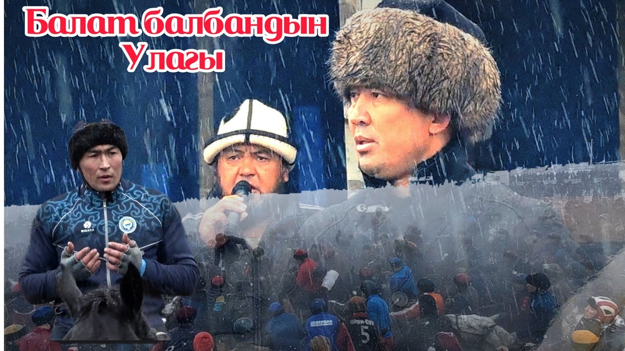 70 тай / Болоттун Улагы башталды (25-02-23)