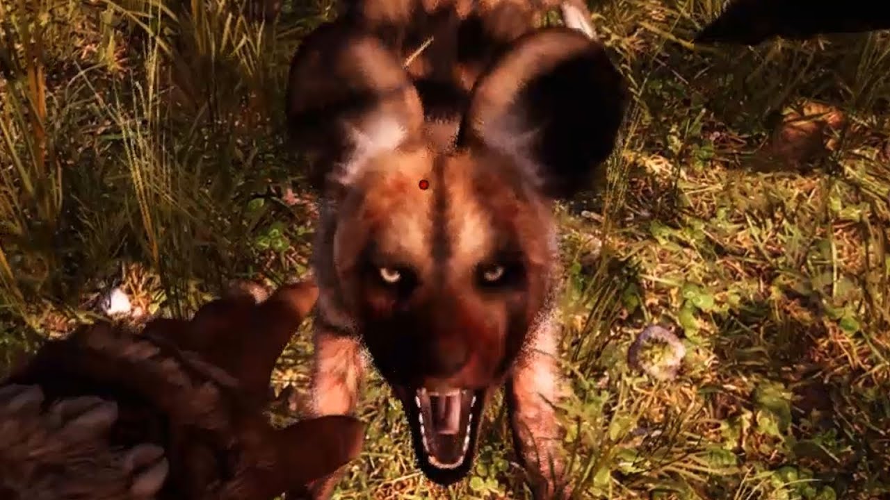Far Cry Primal - Hunting Dhole | Location - Free Roam Gameplay (PC HD) [1080p60FPS]