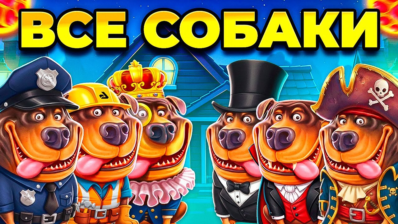 ЧТО БУДЕТ ЕСЛИ ЗАЙТИ ВО ВСЕХ СОБАК!? С ПОСЛЕДНИХ КОПЕЕК!