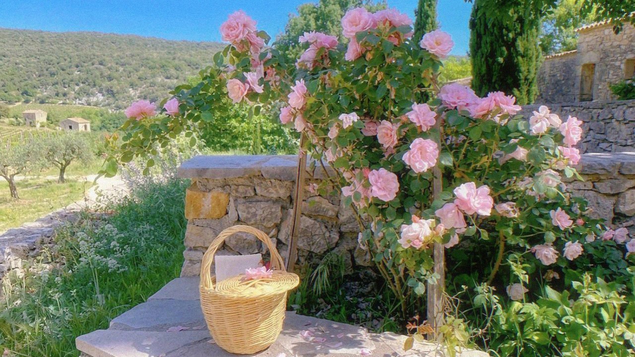 march vibes playlist 🌸 soft music for reading, writing & work