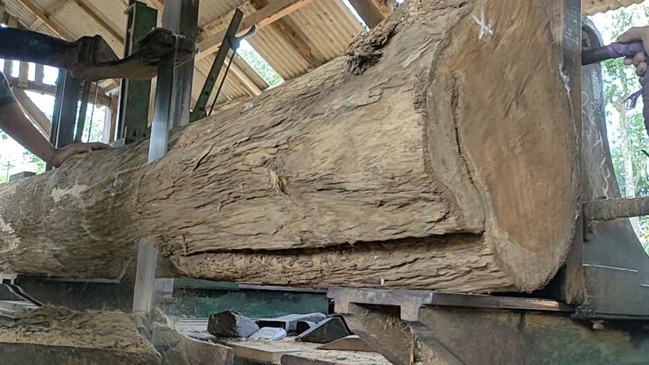 spectacular teak wood processing with high skills