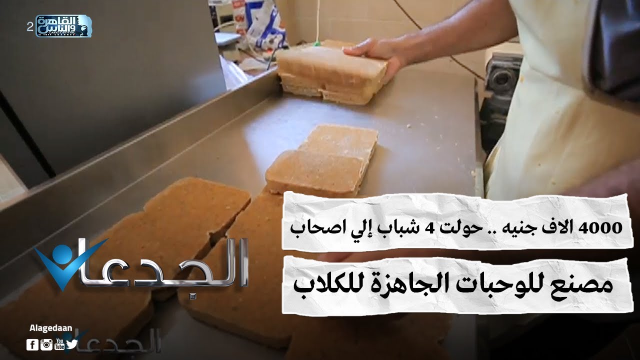 ٤٠٠٠ الاف جنيه .. حولت ٤ شباب إلي اصحاب مصنع للوحبات الجاهزة للكلاب