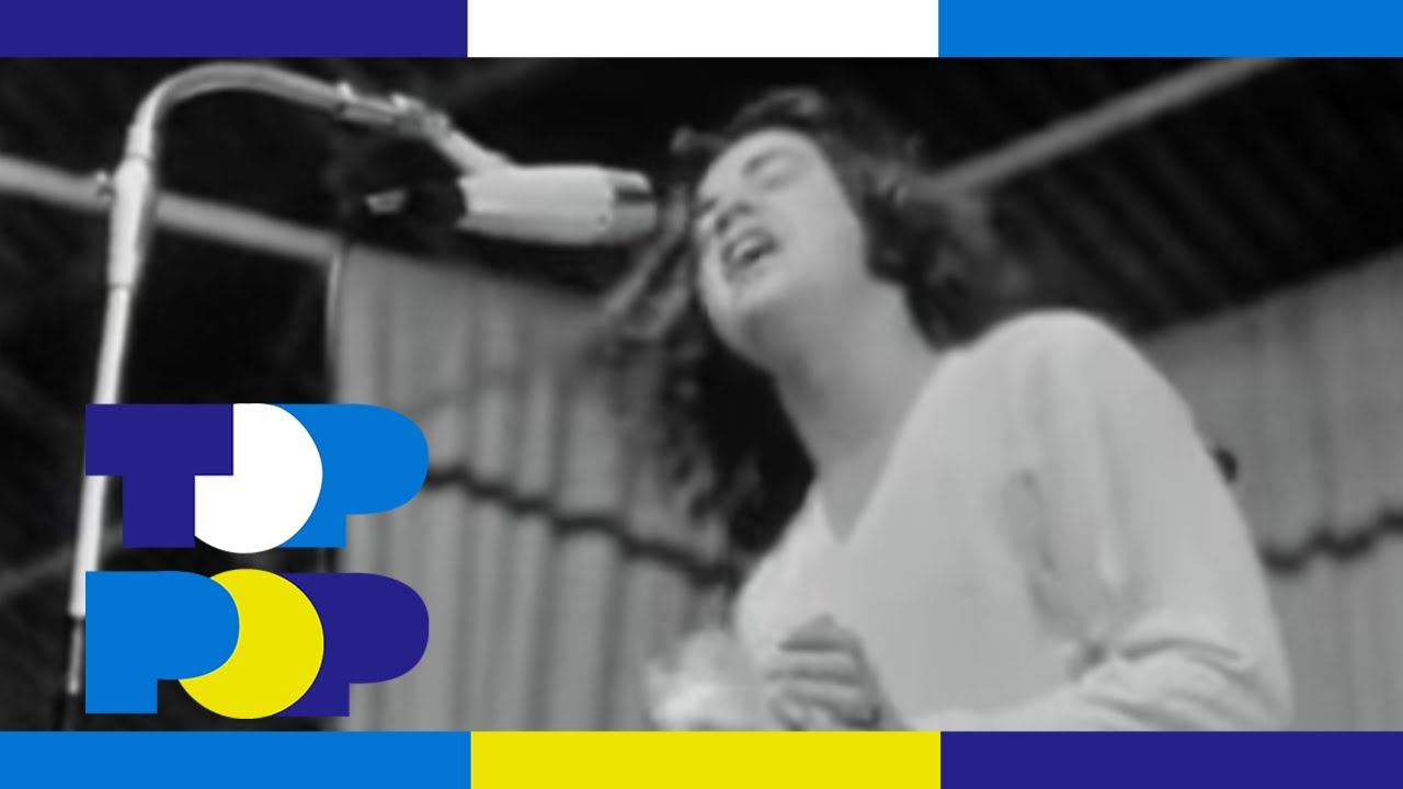 The Pretty Things - Don't Bring Me Down - Beat uit Blokker &bull; TopPop