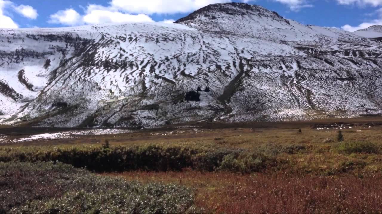 Brazeau Lake - 50 Mile Backpacking Loop